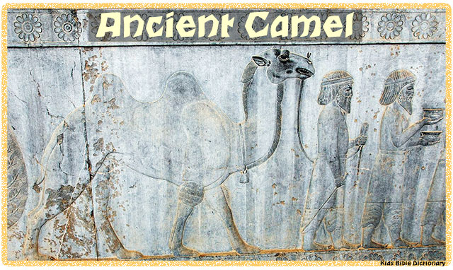 Ancient Camel - Bible Printable