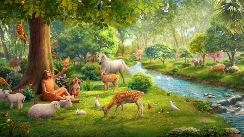 The Marvelous Creation: Exploring the Genesis Story article image